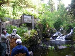Outdoor Writers in the Tongass